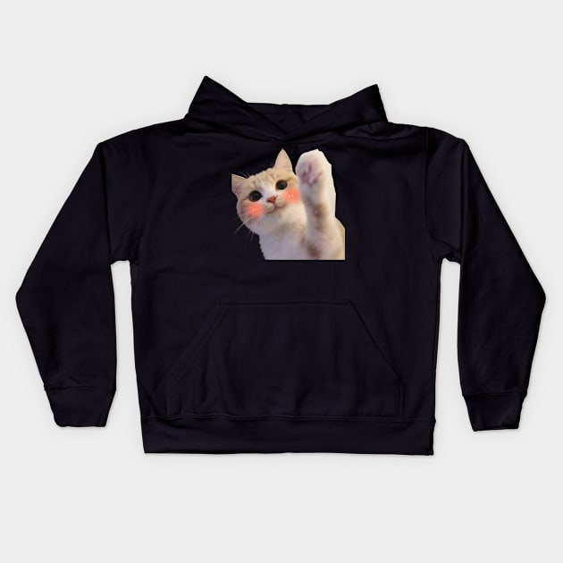 funny meh cat Kids Hoodie by ezzobair